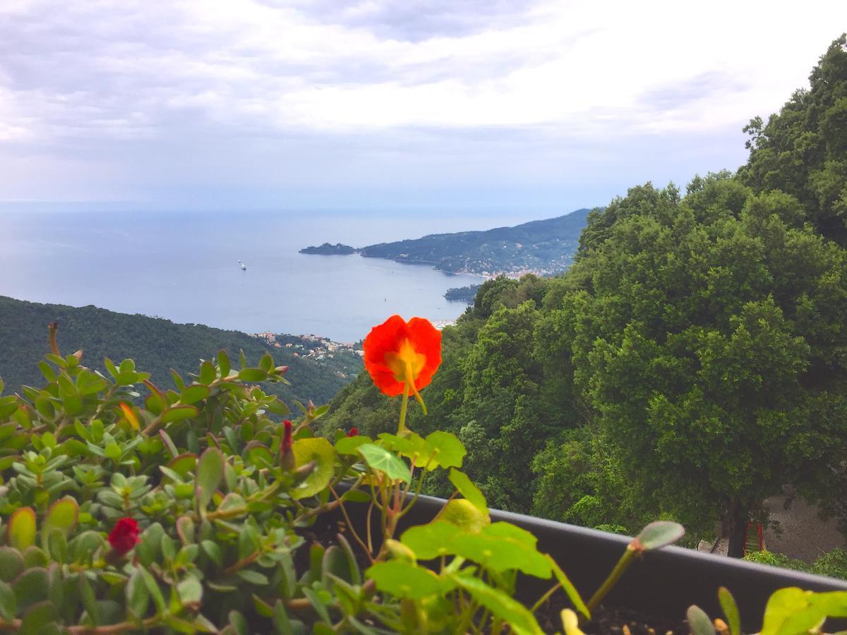 Hotel Montallegro Rapallo Dış mekan fotoğraf